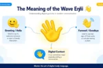 wave emoji meaning